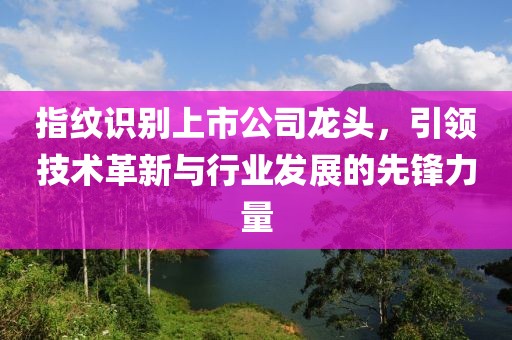 指纹识别上市公司龙头，引领技术革新与行业发展的先锋力量