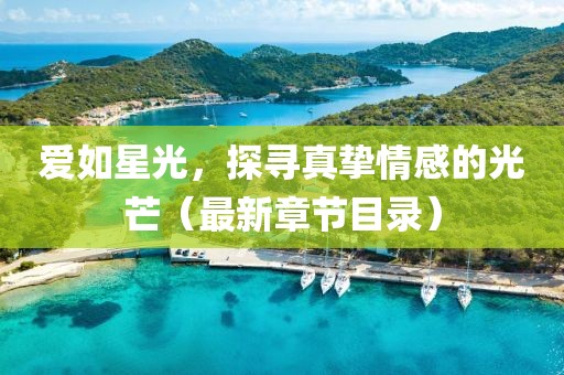 爱如星光，探寻真挚情感的光芒（最新章节目录）