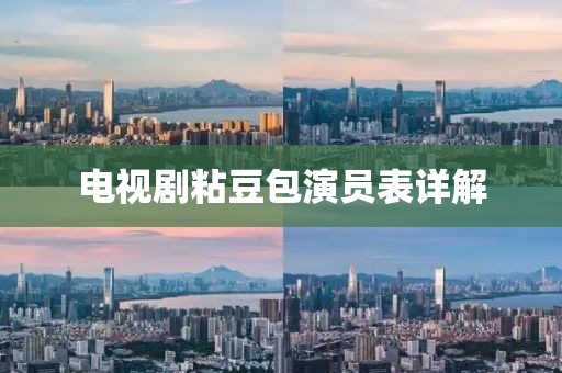 电视剧粘豆包演员表详解