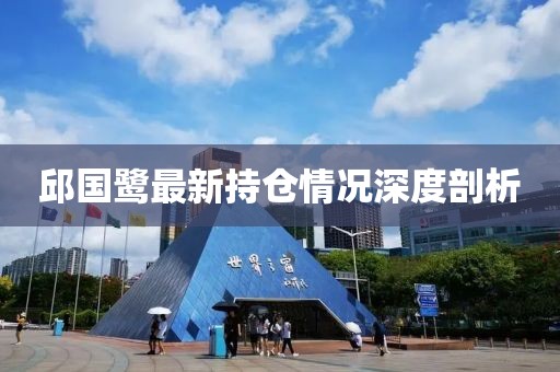 邱国鹭最新持仓情况深度剖析