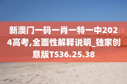 新澳门一码一肖一特一中2024高考,全面性解释说明_独家创意版TS36.25.38