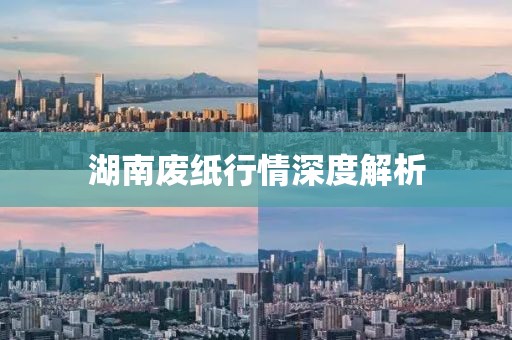 湖南废纸行情深度解析