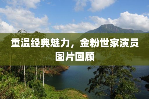 重温经典魅力，金粉世家演员图片回顾