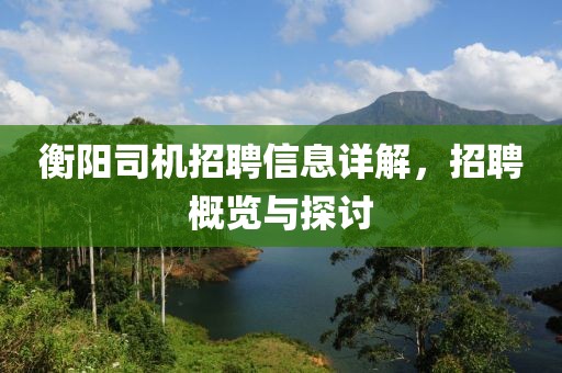 衡阳司机招聘信息详解，招聘概览与探讨