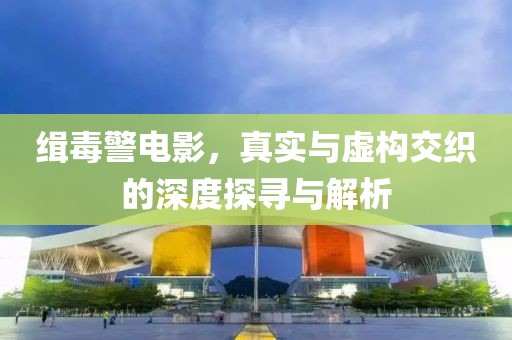 缉毒警电影，真实与虚构交织的深度探寻与解析
