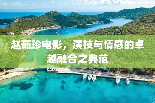 赵茹珍电影，演技与情感的卓越融合之典范