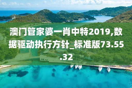 澳门管家婆一肖中特2019,数据驱动执行方针_标准版73.55.32