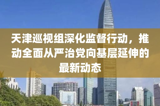 天津巡视组深化监督行动，推动全面从严治党向基层延伸的最新动态