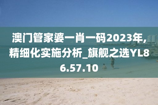 澳门管家婆一肖一码2023年,精细化实施分析_旗舰之选YL86.57.10