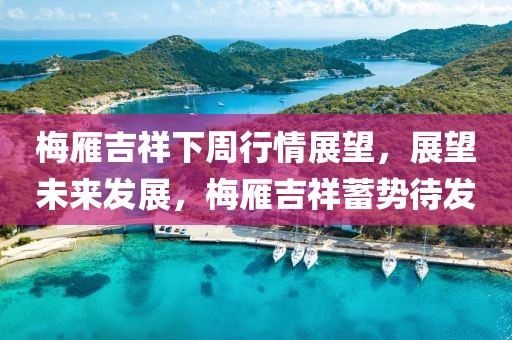 习惯性依赖 第13页