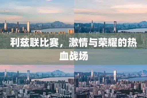 利兹联比赛，激情与荣耀的热血战场