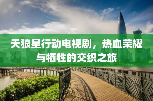 天狼星行动电视剧，热血荣耀与牺牲的交织之旅