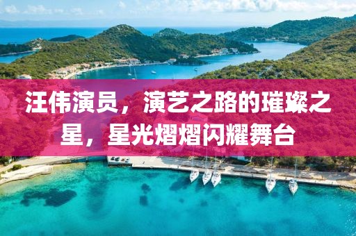 汪伟演员，演艺之路的璀璨之星，星光熠熠闪耀舞台