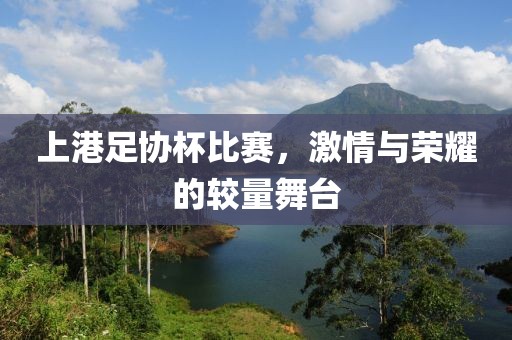 上港足协杯比赛，激情与荣耀的较量舞台