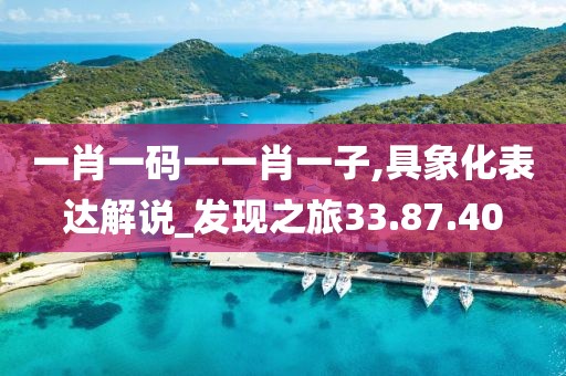 一肖一码一一肖一子,具象化表达解说_发现之旅33.87.40