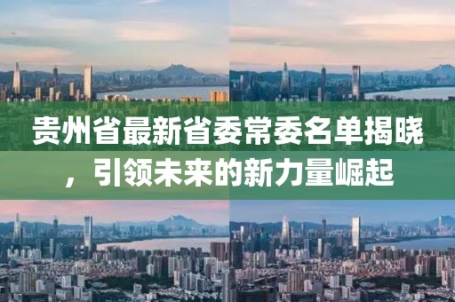贵州省最新省委常委名单揭晓，引领未来的新力量崛起