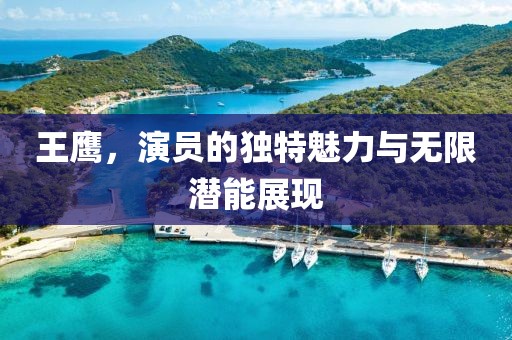 王鹰，演员的独特魅力与无限潜能展现