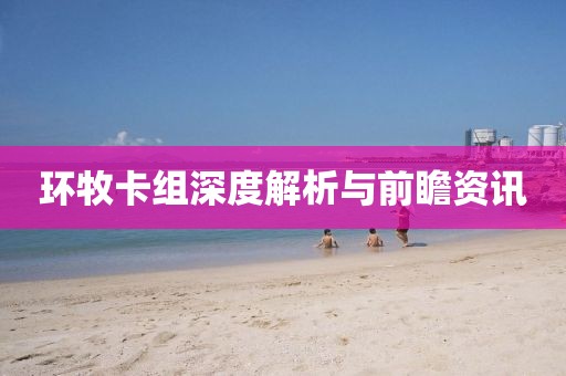环牧卡组深度解析与前瞻资讯