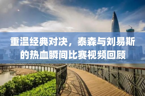 重温经典对决，泰森与刘易斯的热血瞬间比赛视频回顾