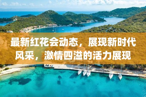 最新红花会动态，展现新时代风采，激情四溢的活力展现