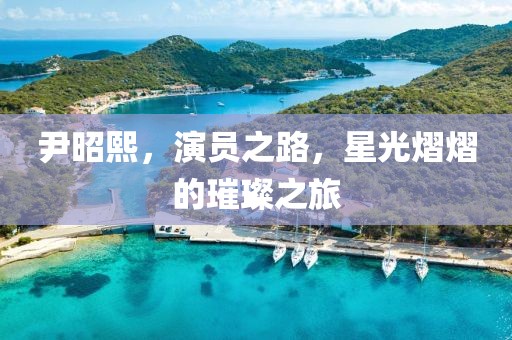 尹昭熙，演员之路，星光熠熠的璀璨之旅
