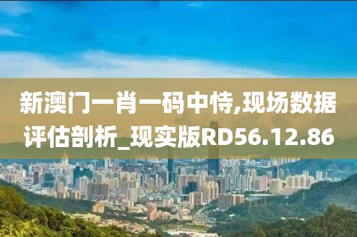 新澳门一肖一码中恃,现场数据评估剖析_现实版RD56.12.86