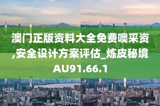 澳门正版资料大全免费噢采资,安全设计方案评估_炼皮秘境AU91.66.1