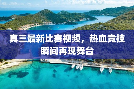 真三最新比赛视频，热血竞技瞬间再现舞台