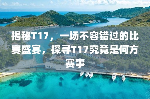 揭秘T17，一场不容错过的比赛盛宴，探寻T17究竟是何方赛事