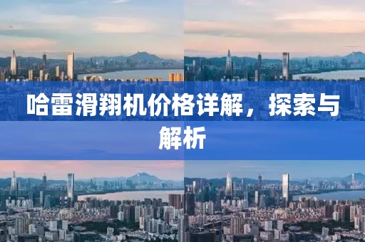 哈雷滑翔机价格详解，探索与解析