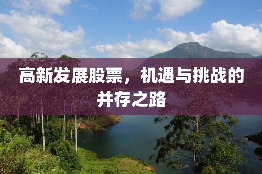 高新发展股票，机遇与挑战的并存之路