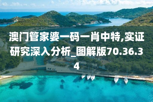 澳门管家婆一码一肖中特,实证研究深入分析_图解版70.36.34