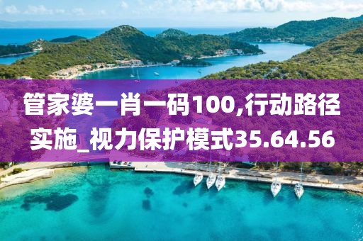 管家婆一肖一码100,行动路径实施_视力保护模式35.64.56