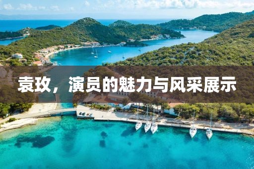 袁玫，演员的魅力与风采展示