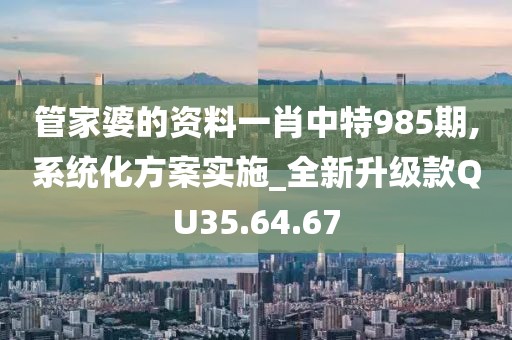 管家婆的资料一肖中特985期,系统化方案实施_全新升级款QU35.64.67