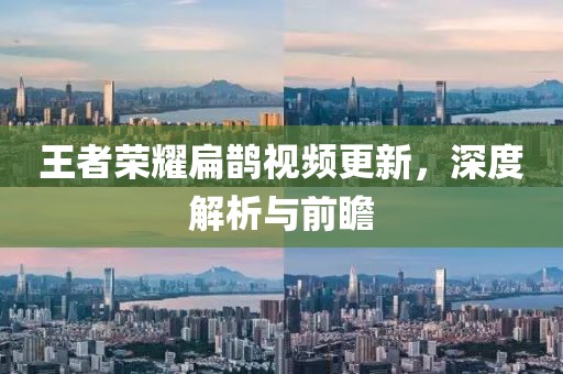 王者荣耀扁鹊视频更新，深度解析与前瞻