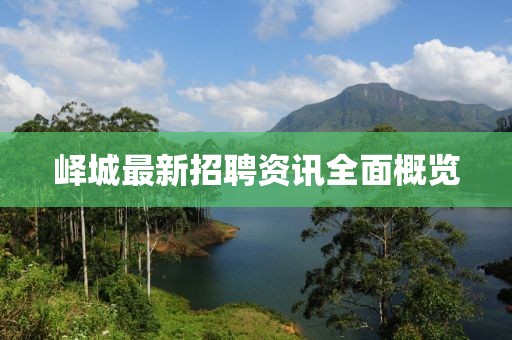 峄城最新招聘资讯全面概览