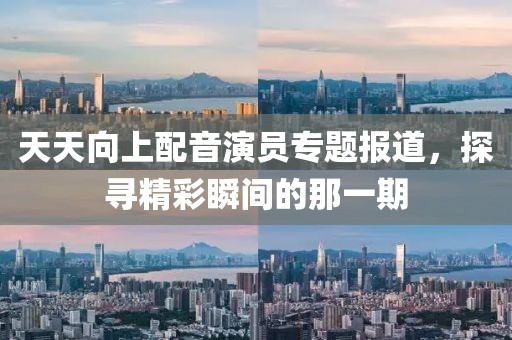 天天向上配音演员专题报道，探寻精彩瞬间的那一期
