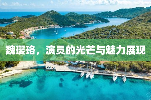 魏璎珞，演员的光芒与魅力展现