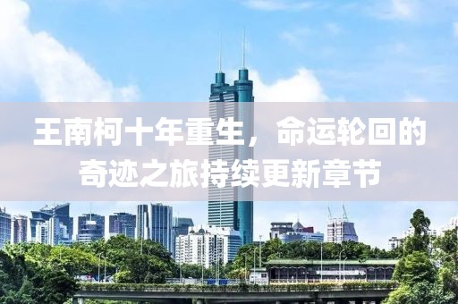 王南柯十年重生，命运轮回的奇迹之旅持续更新章节
