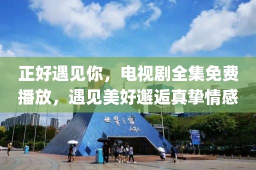 正好遇见你，电视剧全集免费播放，遇见美好邂逅真挚情感