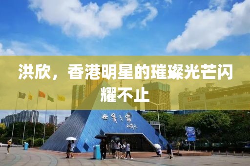 洪欣，香港明星的璀璨光芒闪耀不止