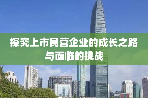 探究上市民营企业的成长之路与面临的挑战