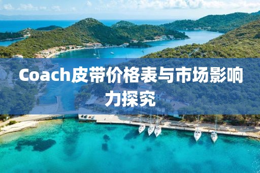 Coach皮带价格表与市场影响力探究