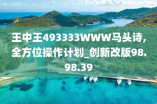 王中王493333WWW马头诗,全方位操作计划_创新改版98.98.39