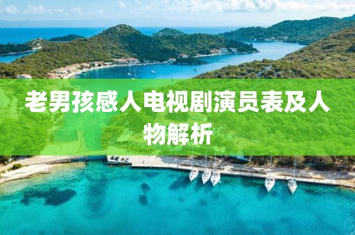 老男孩感人电视剧演员表及人物解析