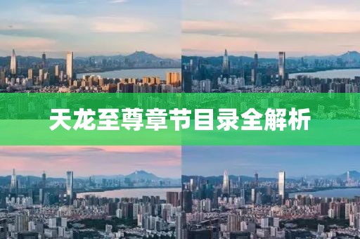 天龙至尊章节目录全解析