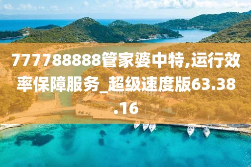 777788888管家婆中特,运行效率保障服务_超级速度版63.38.16
