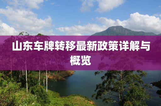 山东车牌转移最新政策详解与概览