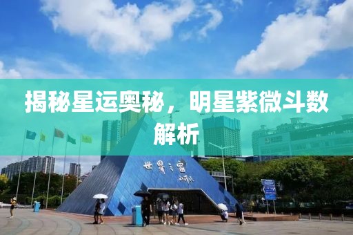 揭秘星运奥秘，明星紫微斗数解析